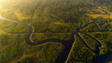Research has shown that the forest and land-use sector could deliver 37% of the emissions reductions required by 2030 to halt dangerous levels of global warming